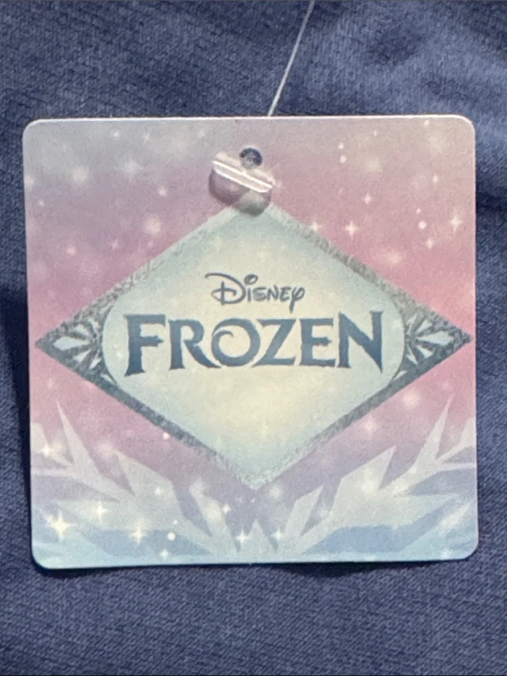 Disney Girls Blue Frozen Elsa & Anna Pajama Set